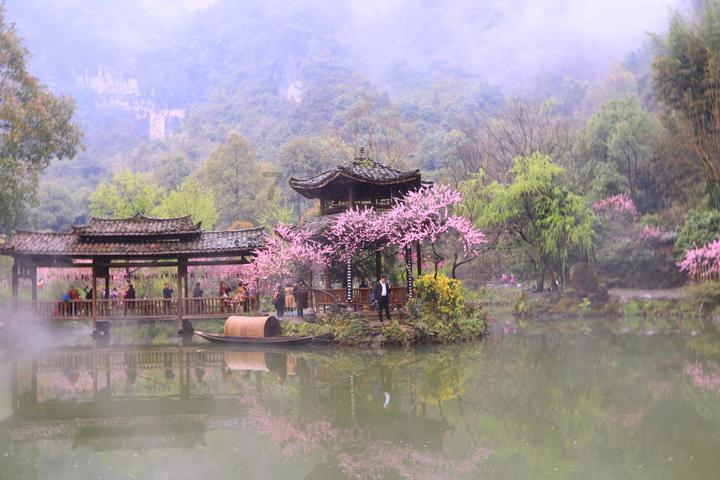 植物大战僵尸18